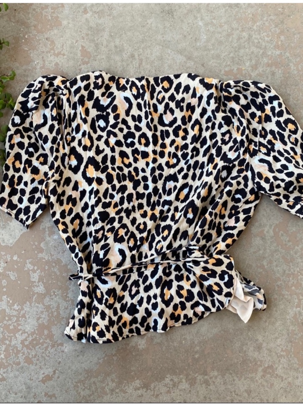Astr Leopard Print Square Neck Puff Sleeve Top - Beige/Black - Picture 2 of 4